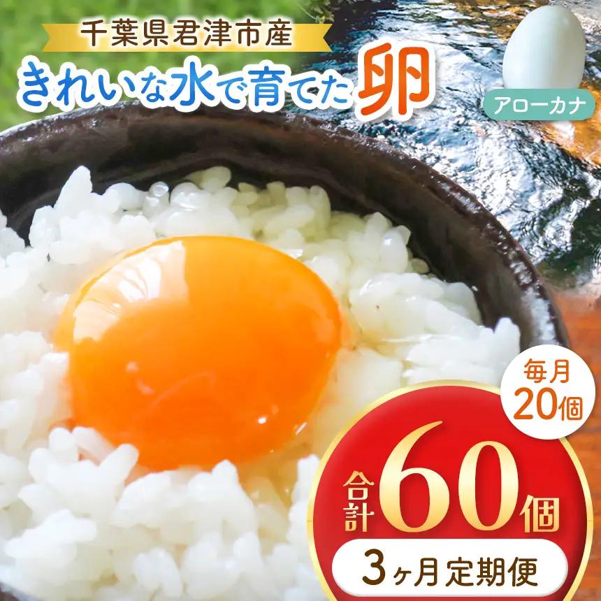 【3回定期便】きれいな水で育てた卵 アローカナ 20個  