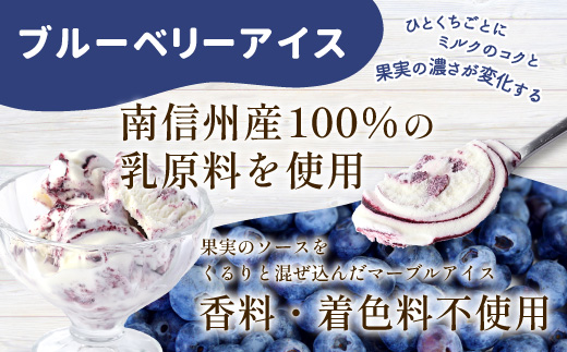 〈1週間以内発送〉無農薬・除草剤不使用！ブルーベリー アイス(80ml)×16個入り アイスクリーム ブルーベリー スイーツ 10000円 10,000円