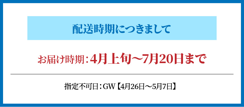S002-019_岩牡蠣　約3ｋg　約3人前【先行受付】