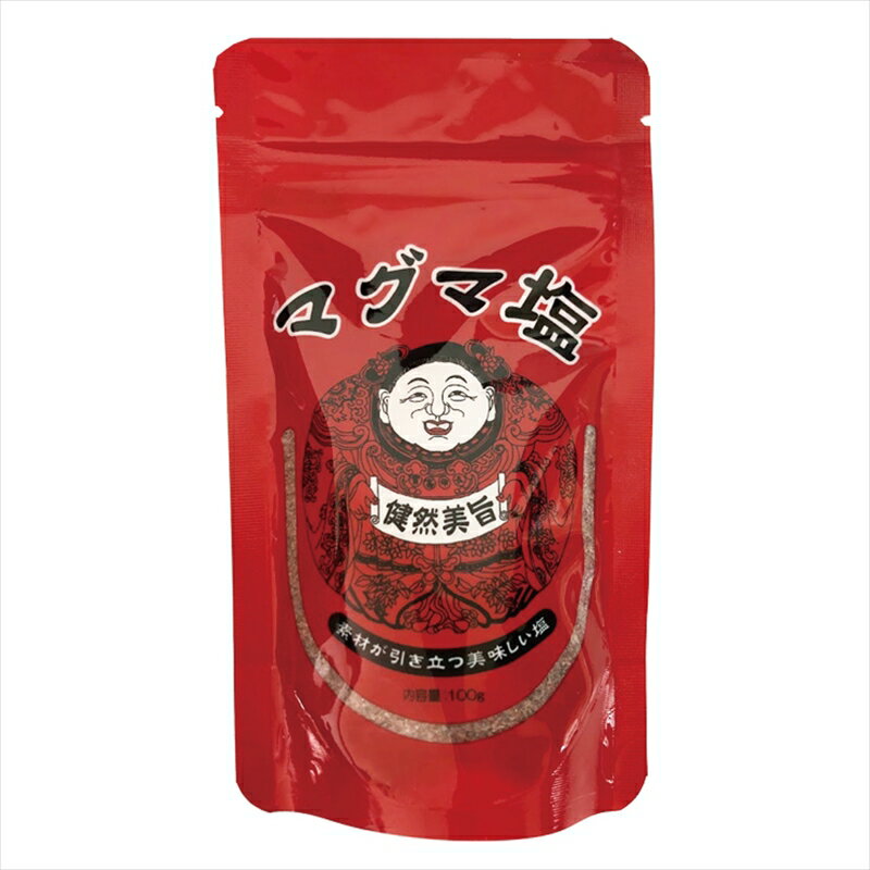 【ふるさと納税】マグマ塩100g【世界一標高の高い山々　ヒマラヤ山脈から取れるお塩　人類が生まれるはるか昔　たび重なるマグマの地殻変動により、海水が陸地に封じ込められ、巨大な岩塩層ができました 栃木県 足利市 】