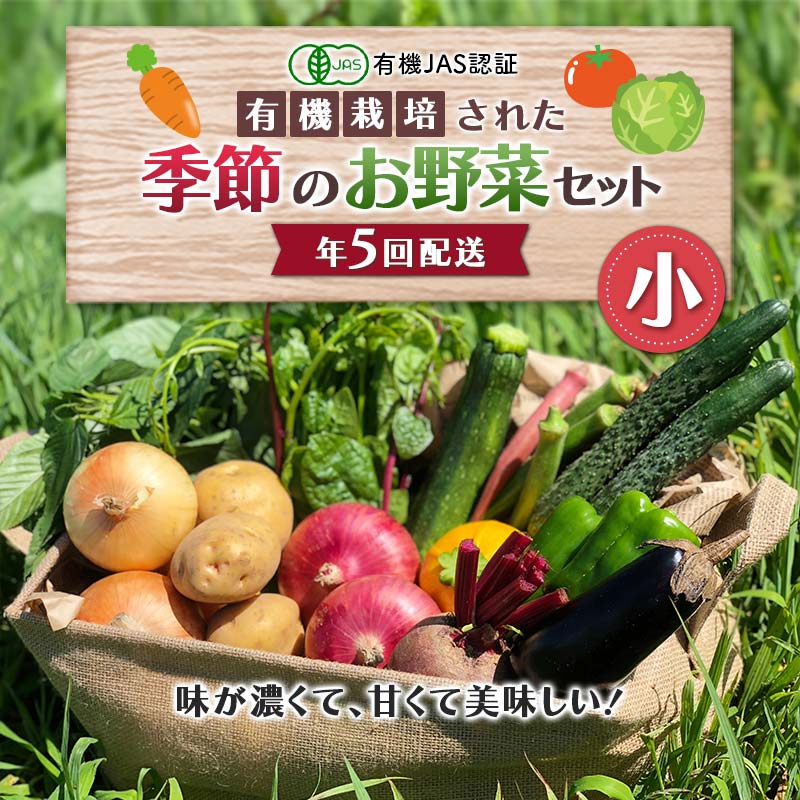 【ふるさと納税】 《有機JAS認証》 オーガニック 季節のお野菜が届く定期便（小） 年5回配送 F23R-940