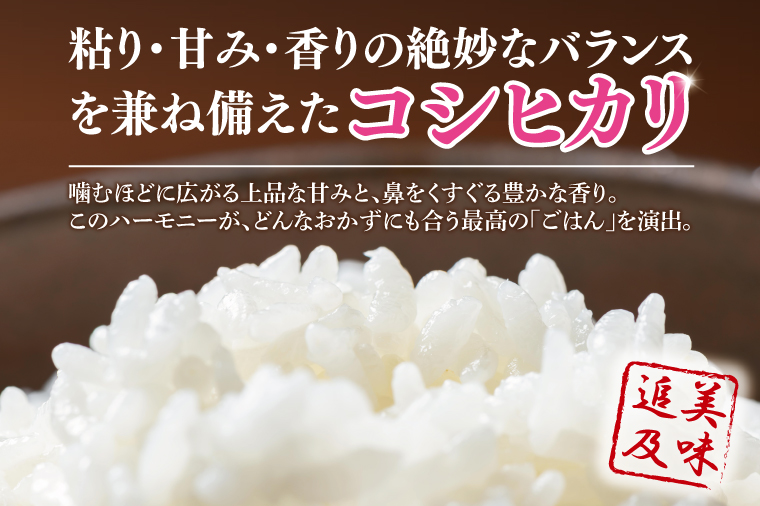【数量限定】【10月より発送】【令和7年産】【６ヵ月定期便】美味追求 茨城県産こしひかり 5kg×6 【定期便 お米 ごはん こしひかり 精米 おにぎり ごはん 茨城県 水戸市 30キロ】(NA-3)