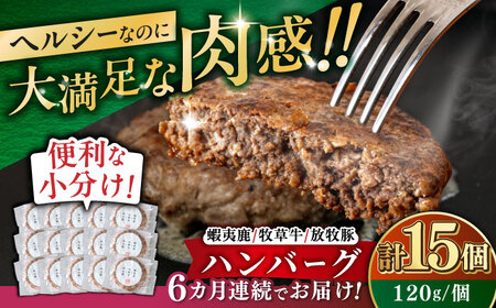 【全6回定期便】【蝦夷鹿×牧草牛×放牧豚】ハンバーグ 15個  鹿肉 牛肉 豚肉 小分け 冷凍 北海道 [AXBP036]