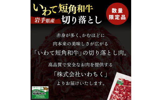 ＼9ヶ月連続 定期便／ 切り落とし 赤身 肉 牛肉 いわて 短角和牛 250g (総計 2250g) 小分けパック 真空冷凍 | 牛肉 肉 赤身 短角 和牛 国産牛 ブランド牛 切り落し 大容量 牛丼