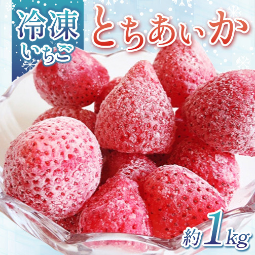 出会いの森いちご園 冷凍いちご （1kg） | いちご イチゴ 苺 栃木県 果物 くだもの フルーツ とちあいか 新鮮 贈答 ギフト デザート スイーツ 冷凍 ※2026年5月～発送