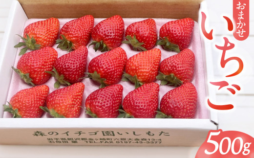 【先行予約】 いちご 500g 品種おまかせ とちおとめ 紅ほっぺ やよいひめ さちのか 令和8年産 1月中旬〜3月発送 贈答用 ギフト イチゴ 苺 ストロベリー 旬 数量限定 岩手県 金ケ崎町