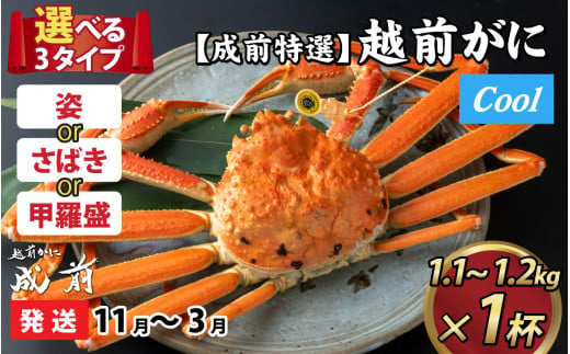 【先行予約】選べる！美味しさ直送【成前特選】越前かに（1.1kg～1.2kg）×１杯【11月～3月発送】姿  [O-028050_06]