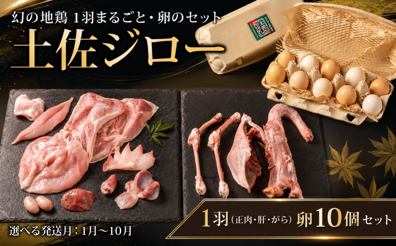 
                  希少 土佐ジロー 1羽 ( 正肉 肝 がら ) 卵 10個 セット 選べる発送月 1月～10月  ＼満天☆青空レストラン／ メディア紹介多数 地鶏 肉 鶏肉 鶏 とり たまご 玉子 お弁当 冷蔵 惣菜 おかず 弁当 ブランド鶏 焼くだけ 簡単調理 自宅用 家庭用 贈答 プレゼント ギフト 贈り物 雄若鳥 調理コツ 数量限定 美味しい 人気 ご飯 はたやま夢楽 安芸市 高知県
                