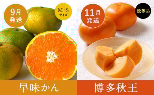 【福岡県産 特産品 年6回定期便】うまもぐ厳選 野菜果物セット