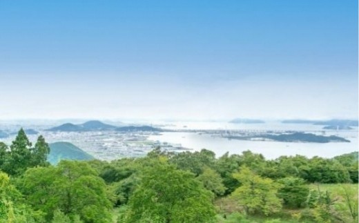 香川の銘石 サヌカイト チャイム×1個【10月中旬以降発送】