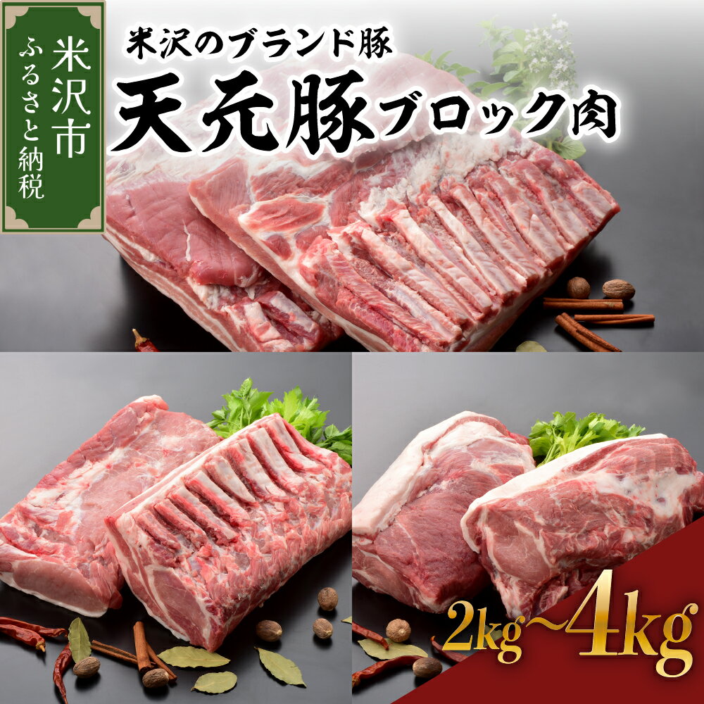 【ふるさと納税】＼レビューキャンペーン／豚肉 天元豚 ブロック肉 部位と量が選べる (豚ロース / 豚バラ / 豚肩ロース) 2kg または 4kg 冷蔵 配送 大容量 ブランド豚 角煮 用 チャーシュー ポークソテー ポーク ロース ステーキ とんかつ 送料無料 山形県 米沢市