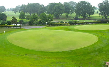 No.296 野田市パブリックゴルフ場ひばりコース平日利用券