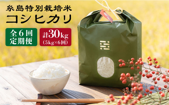 
            【令和7年産】【 6回 定期便 】 とくべつ の中の とくべつ 糸島 特別栽培米 5kg （ コシヒカリ ）《 糸島 》【株式会社やました】 [ARJ006]
          