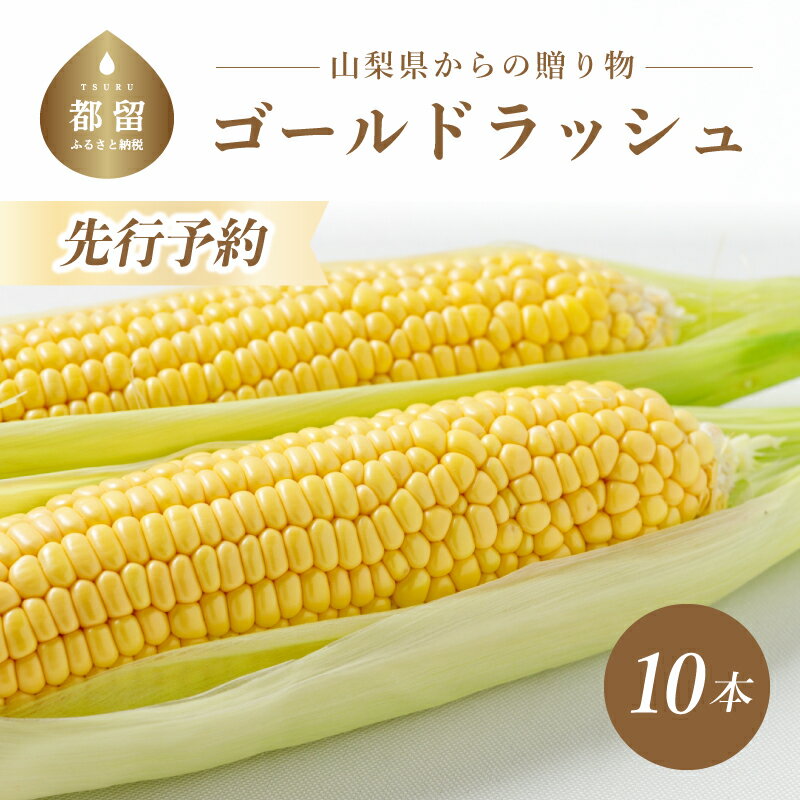 【ふるさと納税】【2025年 先行予約】山梨県都留市産 ゴールドラッシュ 10〜12本｜新鮮 農家からもぎたて直送 鮮度抜群 道の駅で大人気！ とうもろこし トウモロコシ 美味しい 炭野菜
