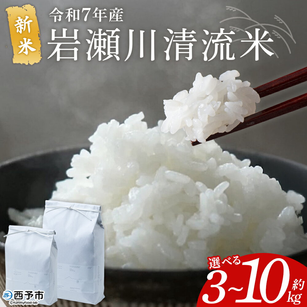 【ふるさと納税】＜令和7年産 新米 コシヒカリ 岩瀬川清流米 3kg/5kg/10kg＞ 選べる 3キロ 5キロ 10キロ こしひかり お米 コメ こめ 白米 精米 ご飯 穀物 鮮度 特産品 愛媛県産 西予市産 宇和町産 OTSUKAFARM 愛媛県 西予市 【常温】『2025年9月下旬から順次出荷予定』