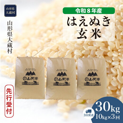 【ふるさと納税】＜令和8年産米先行受付＞ 大蔵村 はえぬき ＜玄米＞30kg定期便 （10kg×3回発送）