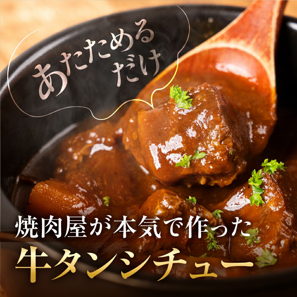 【ふるさと納税】とろける牛タンシチュー 200g×2（お試しサイズ）200g×5（がっつりサイズ） / 食品 精肉 肉加工品 牛肉 牛タン 10000円 25000円 レトルト 惣菜 G0191