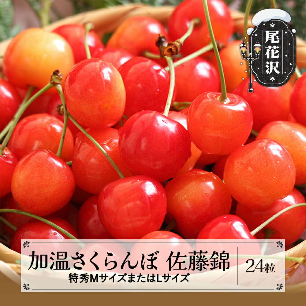 【ふるさと納税】先行予約 加温 さくらんぼ 佐藤錦 特秀 24粒 MサイズまたはLサイズ 5月上旬~下旬頃発送 プレゼント ギフト 2026年産 令和8年産 山形県産 ハウス ハウス栽培 送料無料 サクランボ ns-sntxx24 ※沖縄・離島への配送不可