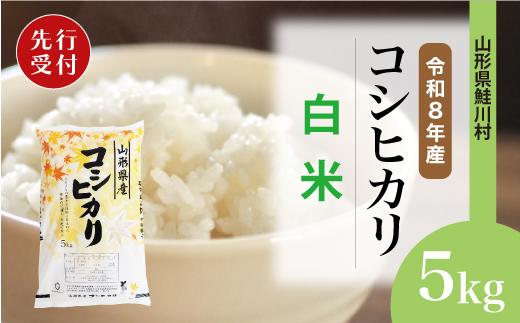 ＜令和8年産米先行受付＞ 令和9年4月中旬発送　こしひかり 【白米】 5kg （5kg×1袋） 鮭川村