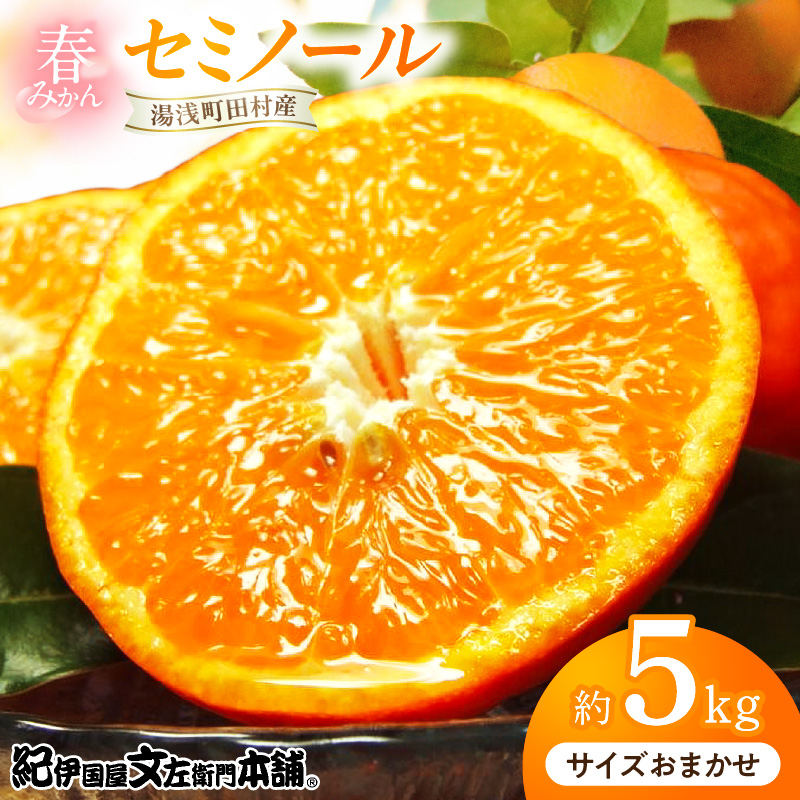【2027年先行予約】セミノールオレンジ 約5kg 湯浅町田村産 春みかん （果実サイズおまかせ）/ 紀伊国屋文左衛門本舗_V7078