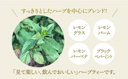 【さわやかな香りでリフレッシュ】ハーブティー＜さわやかブレンド＞2袋【Goenヘルス＆ビューティー】お茶 ペパーミント レモングラス[HBQ004]