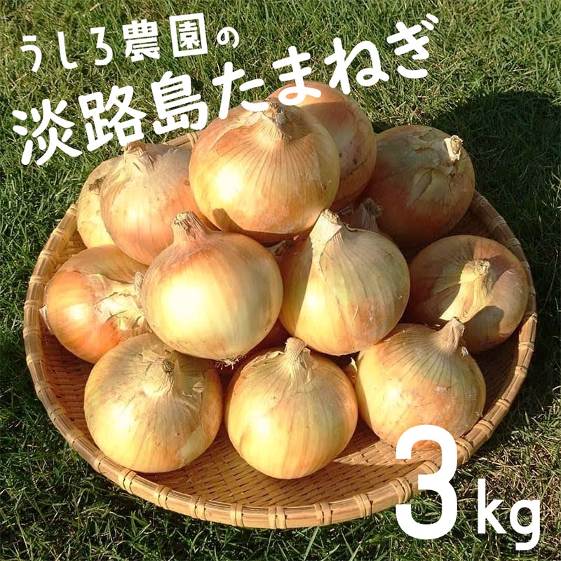 
                  淡路島 玉ねぎ 3kg  肉厚 中生 玉ねぎ タマネギ 淡路島産 3キロ スープ ハンバーグ 肉じゃが ホイル焼き 野菜 サラダ うしろ農園 淡路 洲本市 [№5395-0548]
                