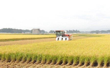 【３ヶ月定期便】岩手花巻産ひとめぼれ「健土健米」５㎏ 【305】