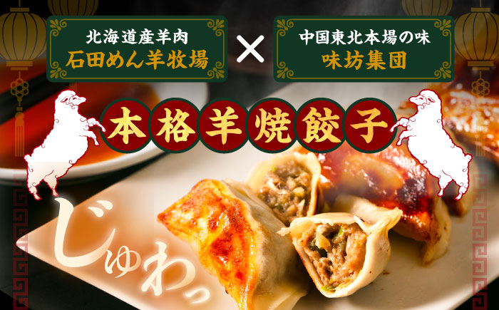 羊の焼き餃子（25個入り）《足寄町》【石田めん羊牧場】　中華 餃子 ぎょうざ ギョウザ 点心 惣菜 おかず 弁当 羊肉 お肉 手づくり ジューシー 冷凍 簡単調理 名店 味坊 足寄 北海道 北海道産 