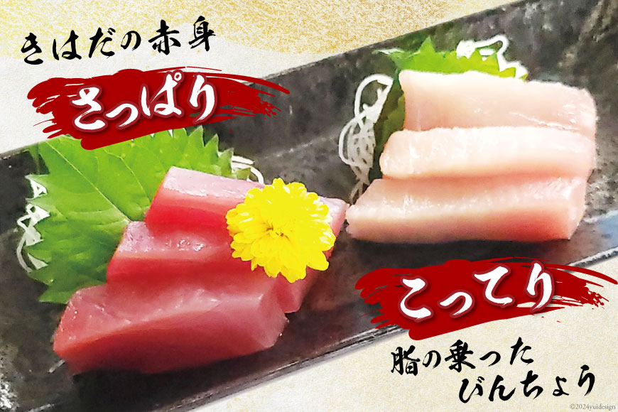 【びんとろ】【赤身】天然 鮪セット 各300g×2袋 合計約1.2kg [大長増田商店 静岡県 吉田町 22424143] 鮪 マグロ まぐろ 魚 海鮮 ビンチョウマグロ キハダマグロ 赤身 冷凍