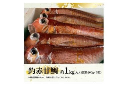 『釣赤甘鯛 C』 【鮮魚 さかな 九州 宮崎 川南町 新鮮 魚介 海の幸 魚介類 たい】