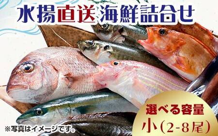 中泊水揚直送 海鮮詰合せ 小 （2～8尾程度） ※下処理済み 【徐福の里物産品直売所】 F6N-025
