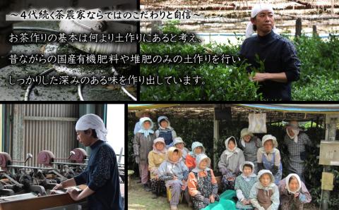 【八女茶】奥八女星野茶 高木茶園の深蒸し高級煎茶(深蒸し茶)100g×2袋　4A14