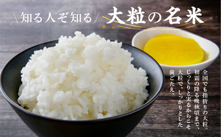 【先行予約！】【3回 定期便】令和7年度産 ハツシモ 5kg お米 新米 | 定期便 お米