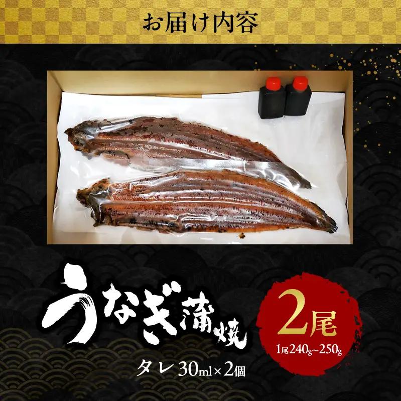 うなぎ 国産 蒲焼き 2尾 480g～500g うなぎ