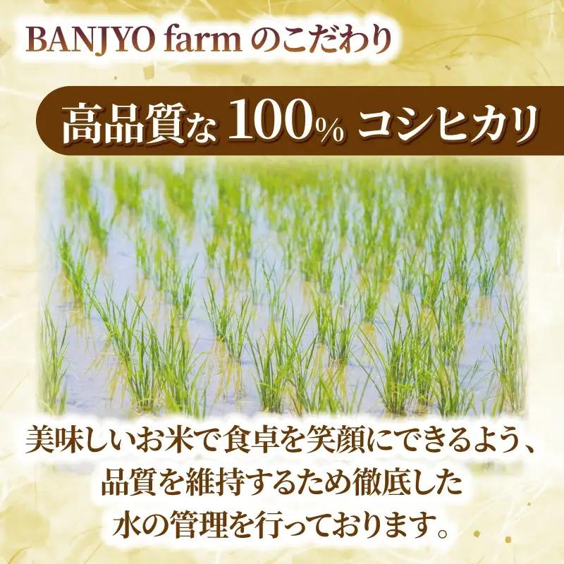 【先行予約】 玄米 5kg こしひかり 令和8年産 【 玄米 新米 】