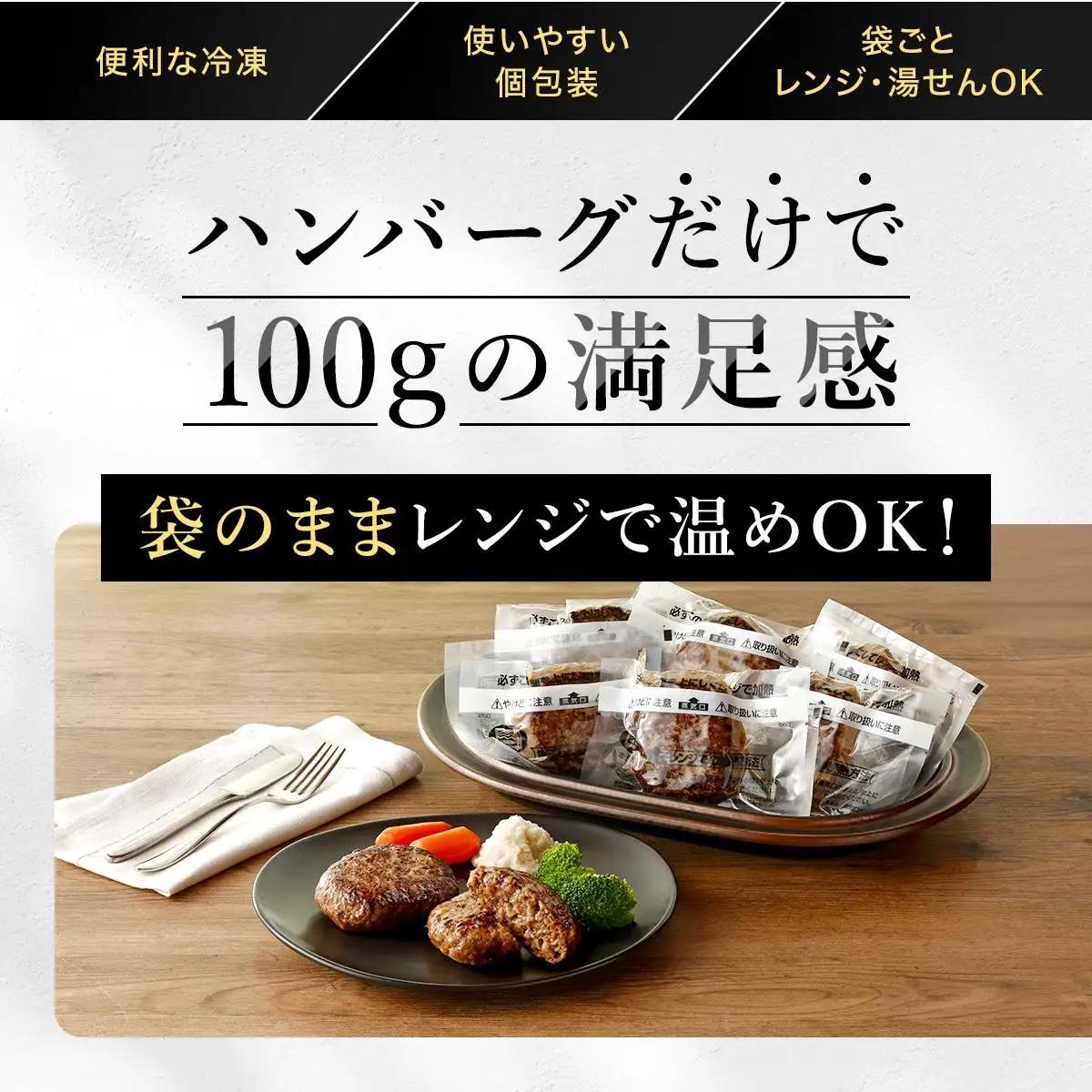 無添加 国産牛100% 直火焼き ハンバーグ 100g×6袋 電子レンジ 湯煎 [1305]