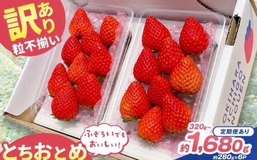 
                  訳あり 粒不揃い とちおとめ 320g～1,680g 定期便 1回～3回 | 栃木県 矢板市 澳原いちご農園
                