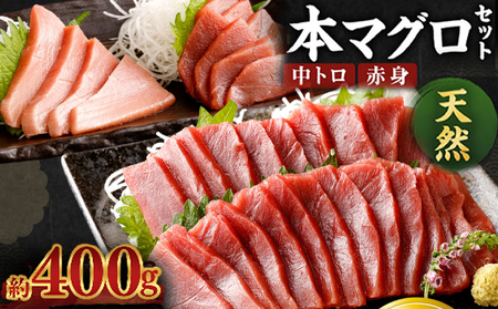 厳選天然本マグロ中トロ 赤身 食べきり セット ４００ｇ 本まぐろ 100% 冷凍 刺身 海鮮 丼 _ge010