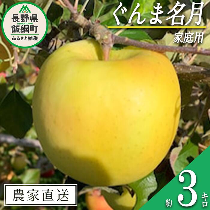 【ふるさと納税】 りんご ぐんま名月 家庭用 3kg ファームトヤ 沖縄県への配送不可 令和7年度収穫分 長野県 飯綱町 〔 信州 果物 フルーツ リンゴ 林檎 名月 長野 13000円 予約 農家直送 〕発送時期：2025年11月中旬〜2025年12月下旬 {**}