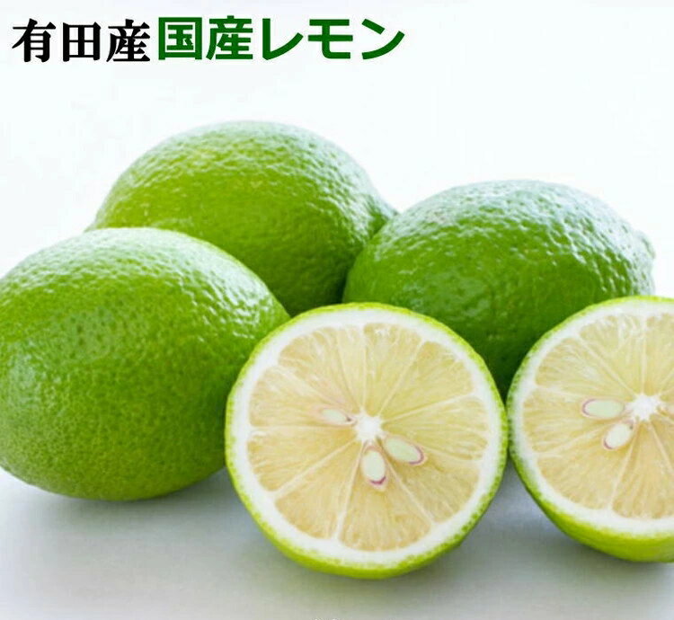 【ふるさと納税】 有田産 の 安心 国産 レモン (サイズ混合） / 和歌山 柑橘 ※着日指定不可 2025年10月中旬〜2026年4月下旬頃発送予定 //lemon