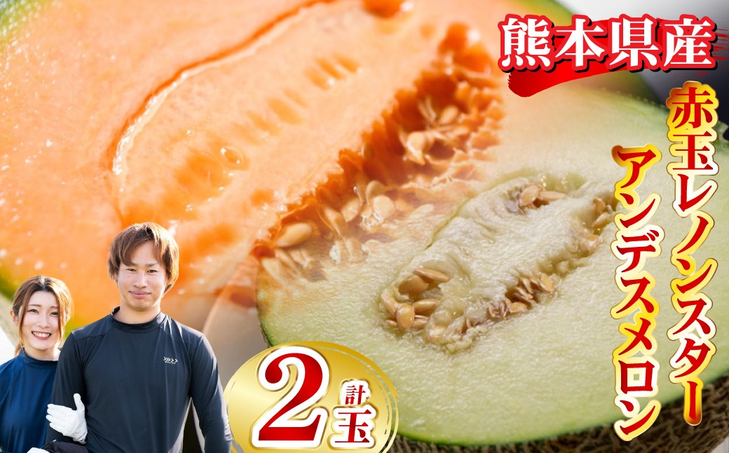 
            赤玉レノンスター 1玉・アンデスメロン1玉【2026年5月下旬発送開始】 メロン フルーツ くだもの 果物 熊本県産 国産
          