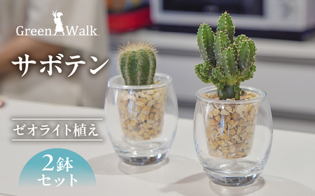 サボテンのゼオライト植え 2鉢セット【底面給水ガラス鉢】観葉植物
