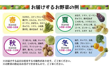 【年内発送】旬の野菜セット 詰め合わせ 15種類 国産 新鮮 お試し おまかせ お楽しみ