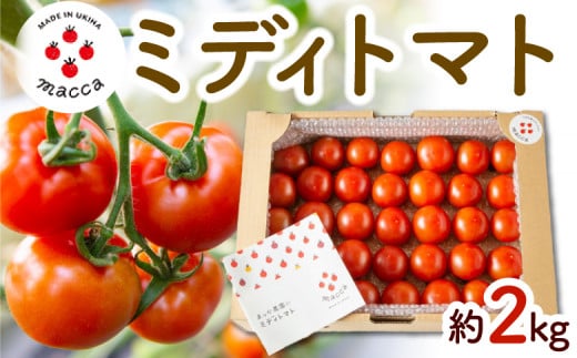 まっか農園 ミディトマト (約2kg) 2024年12月4日から12月25日 お届け