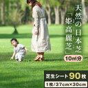 【ふるさと納税】YG-04 天然の日本芝「姫高麗芝」10平方メートル分BOX 鳥取県 鳥取県産 大山町 大山 大山産 お土産 返礼品 国産 高級 高級品 お取り寄せ お庭 芝生 お得 セット ご当地