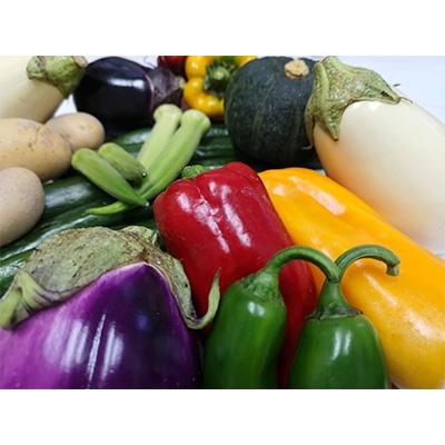 ふるさと納税 藍住町 徳島県藍住町　あんちゃんふぁーむの季節の新鮮野菜セット(5品目以上)