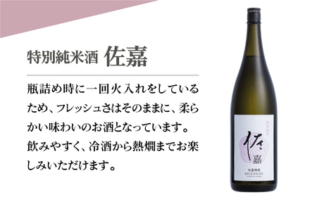 【The SAGA認定酒】佐嘉 特別純米酒 1.8L×1本【白木酒店】日本酒 一升瓶 佐賀[HAQ047]