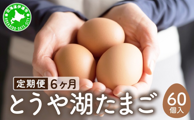 【6ヵ月 定期便】 北海道 伊達市 とうや湖 卵  60個 入り たまご