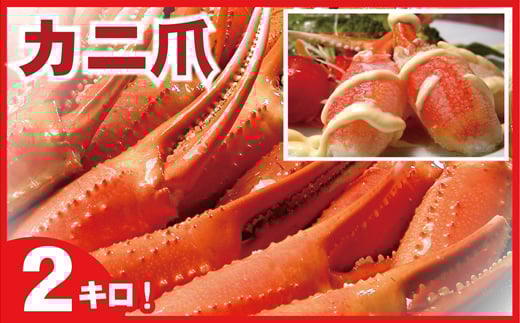 B-07005【年内配送可】 ボイル紅ずわいがに爪1kg×2P