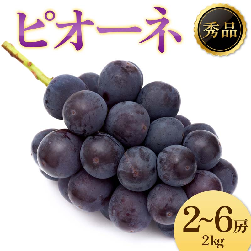 【ふるさと納税】《2025年先行受付》ぶどう「ピオーネ」 秀品 2〜6房(2kg) ぶどう ブドウ 葡萄 デザート フルーツ 果物 くだもの 果実 食品 山形県 FSY-1221